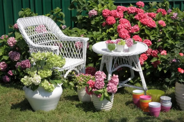 Garden patio with wicker chair and flowers