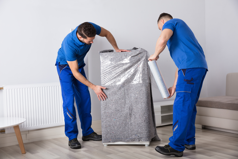 Professional Packing Service